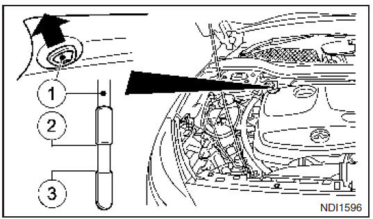 1.6L en 2.0L benzinemotor